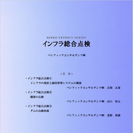 インフラ総合点検 (PDFダウンロード版)