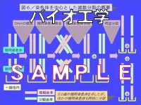 速攻入門+資料作成キット　バイオ工学