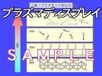 速攻入門+資料作成キット　プラズマディスプレイ