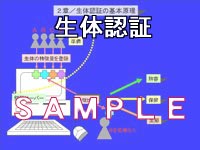 速攻入門+資料作成キット　バイオメトリクス